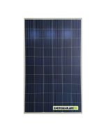 Pannello Solare Fotovoltaico 280W 24V Policristallino 