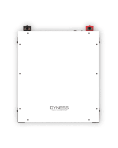 Batteria al litio A48100 Dyness 4.8Kwh 48V modulabile per impianto fotovoltaico